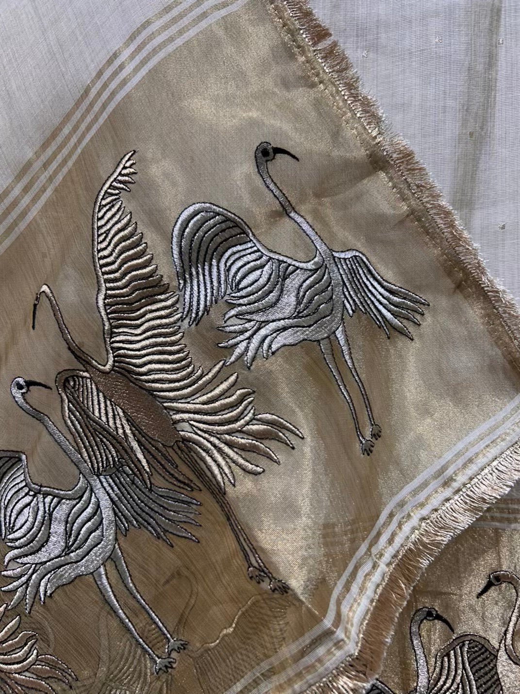 Oziera Zari Kinari Chanderi Suit