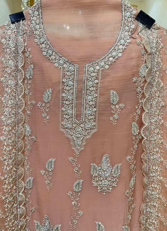 Aarifa Resham Veil Suit (Peach)