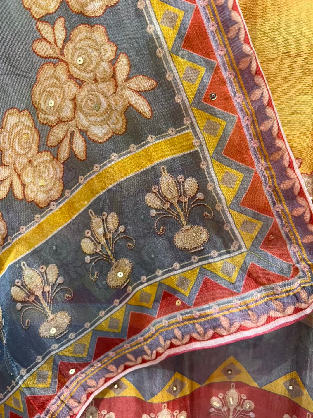 Aamira Sequin Moti Dori Organza Suit