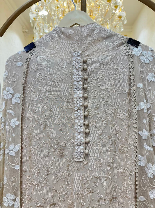 Zehra Potli Georgette Suit