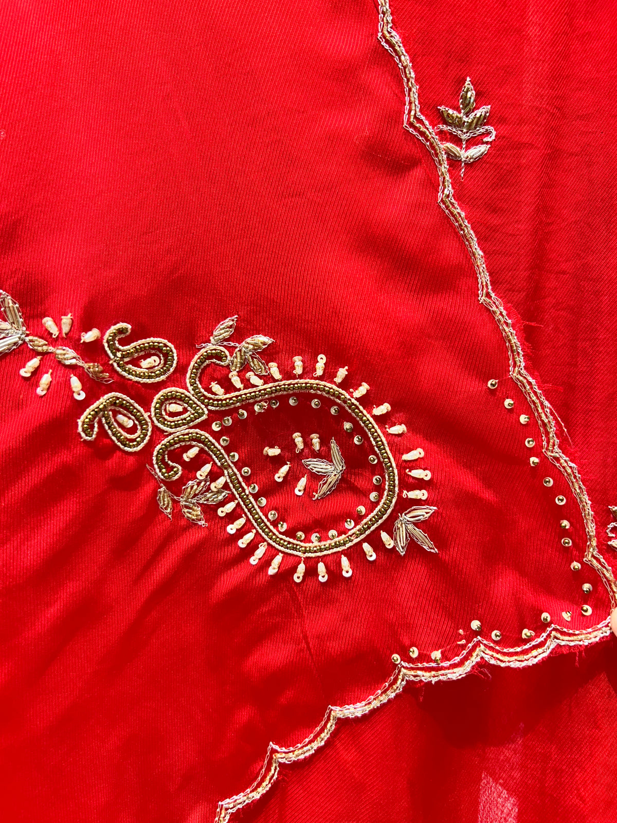 Shabnoor Organza Suit