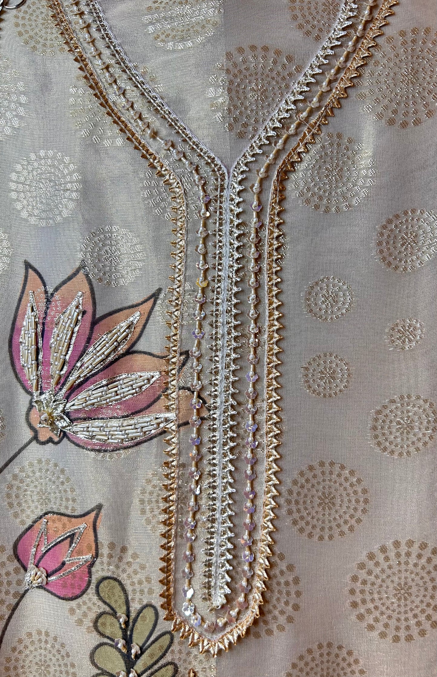 Aarunya Organza Suit