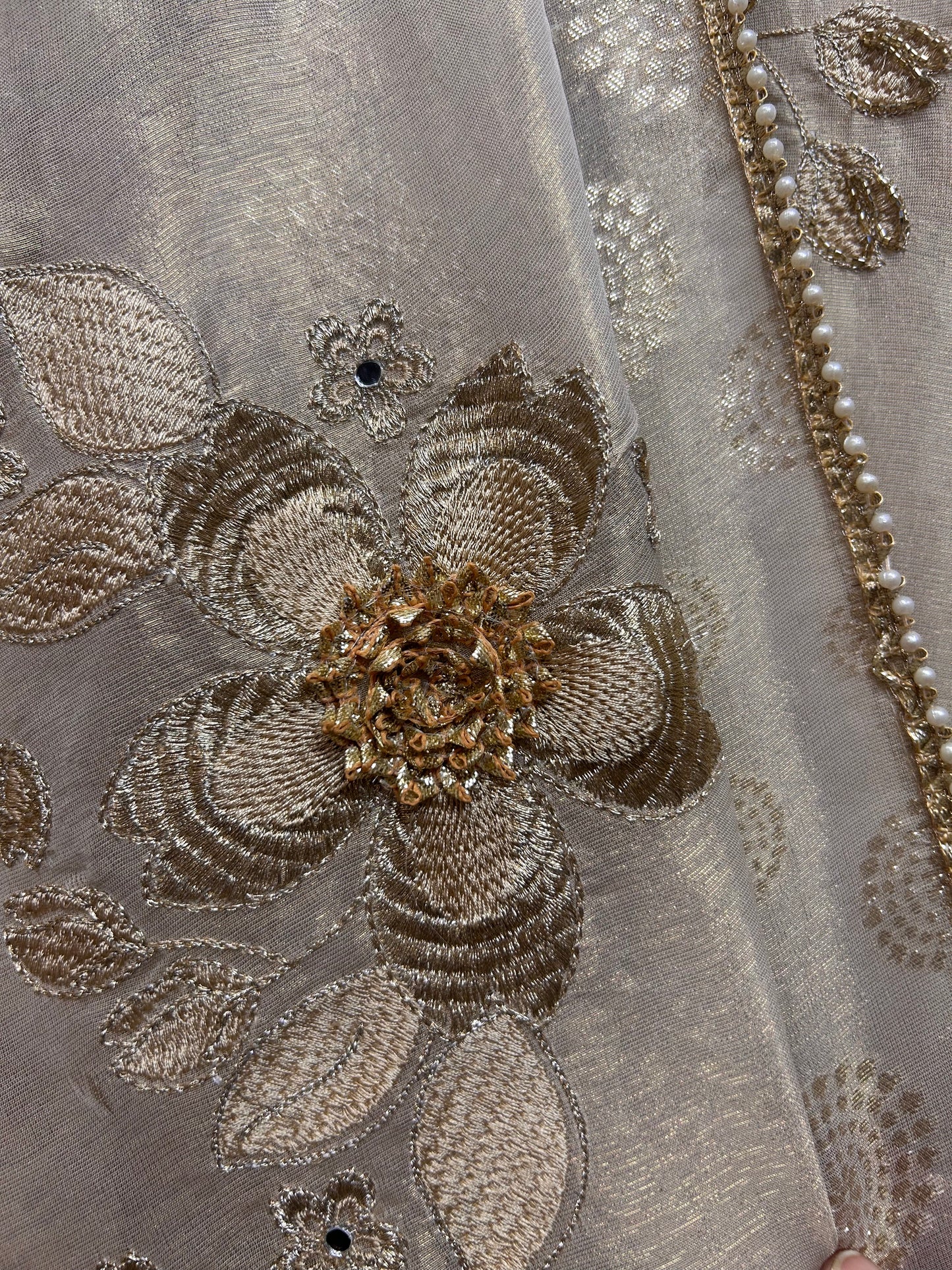 Alizeh Organza Suit