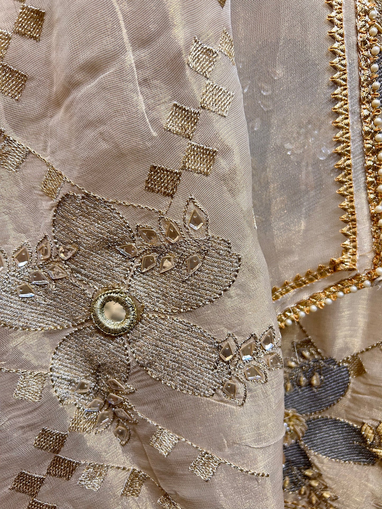 Chaandni Organza Suit