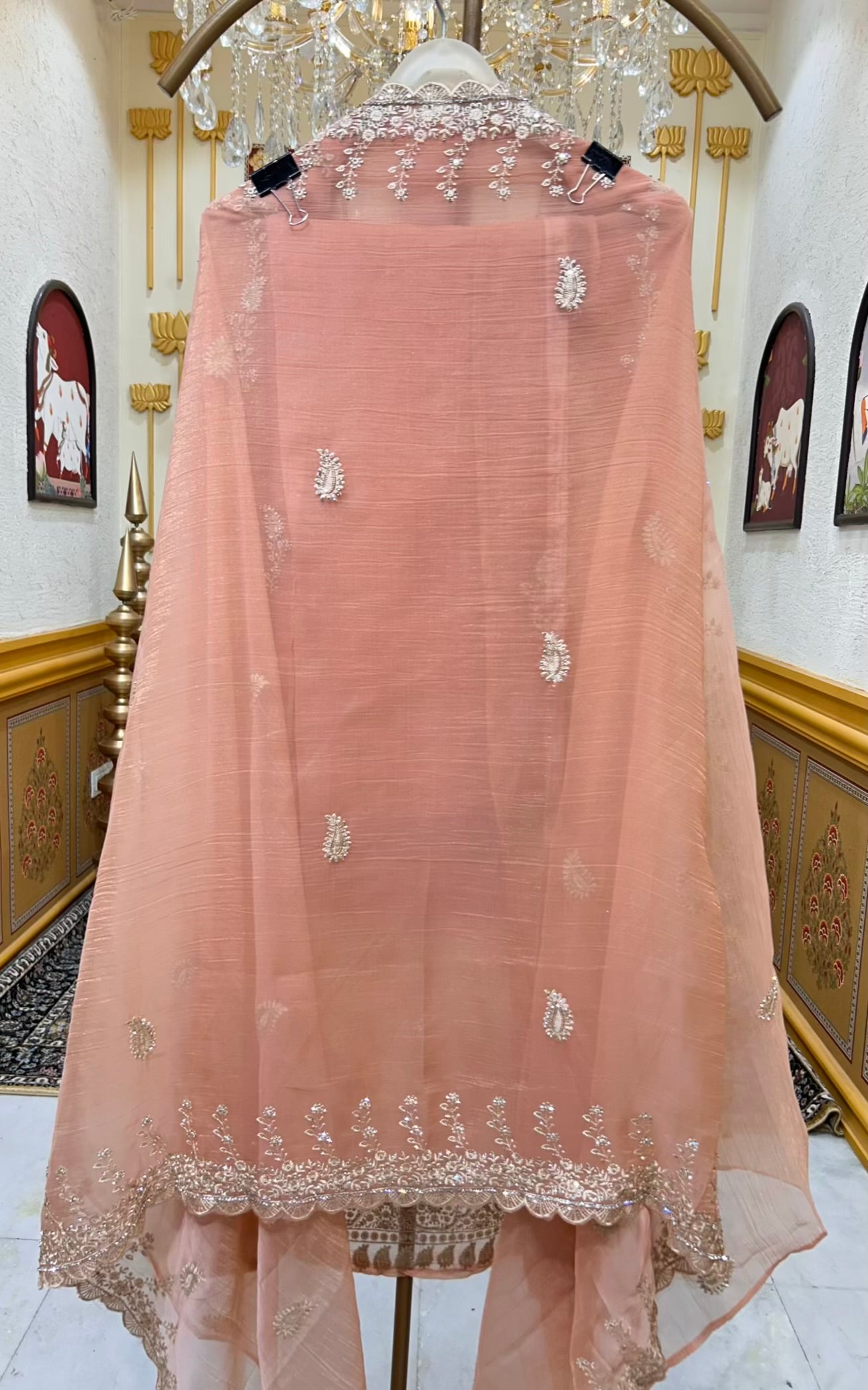 Aarifa Resham Veil Suit (Peach)
