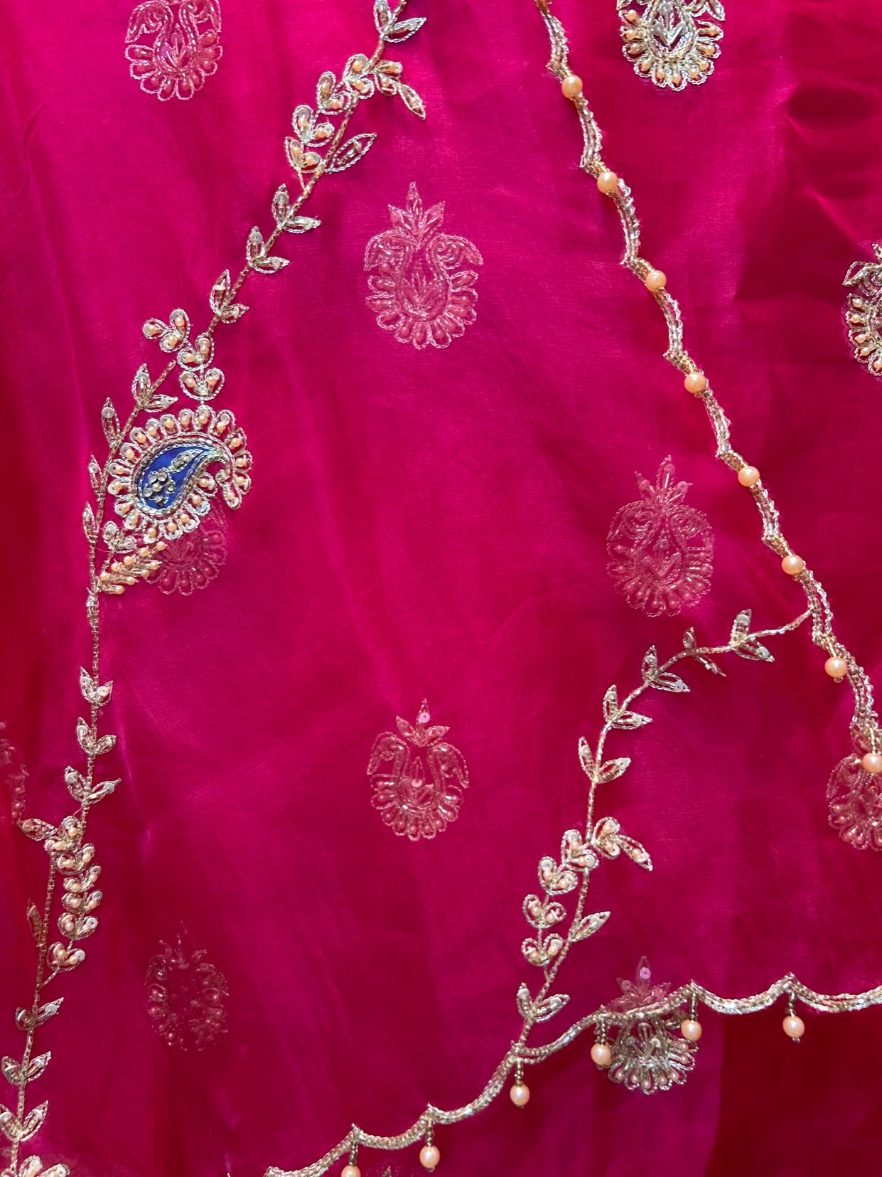 Raziaan Organza Suit