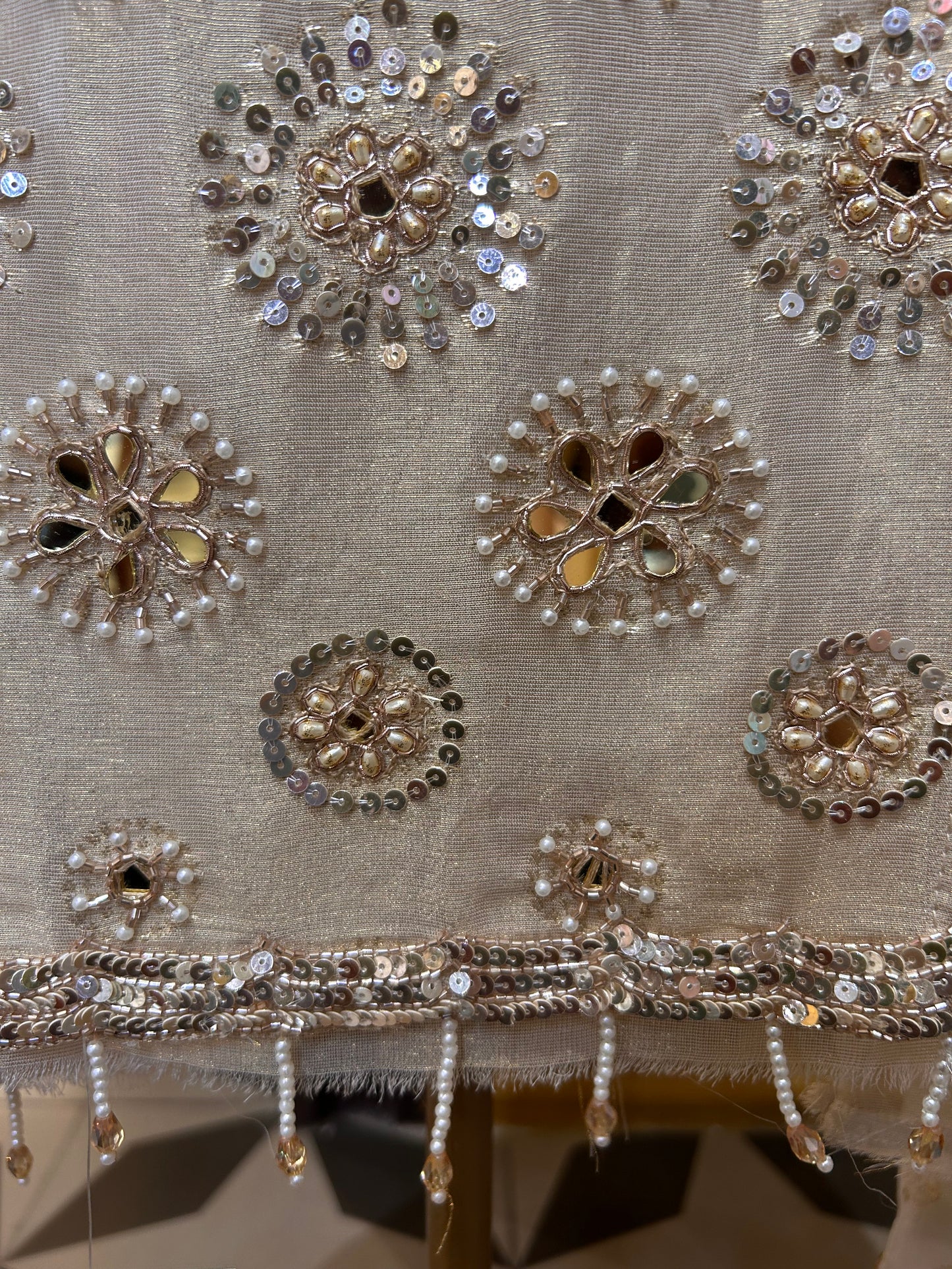 Roshniya Organza Suit