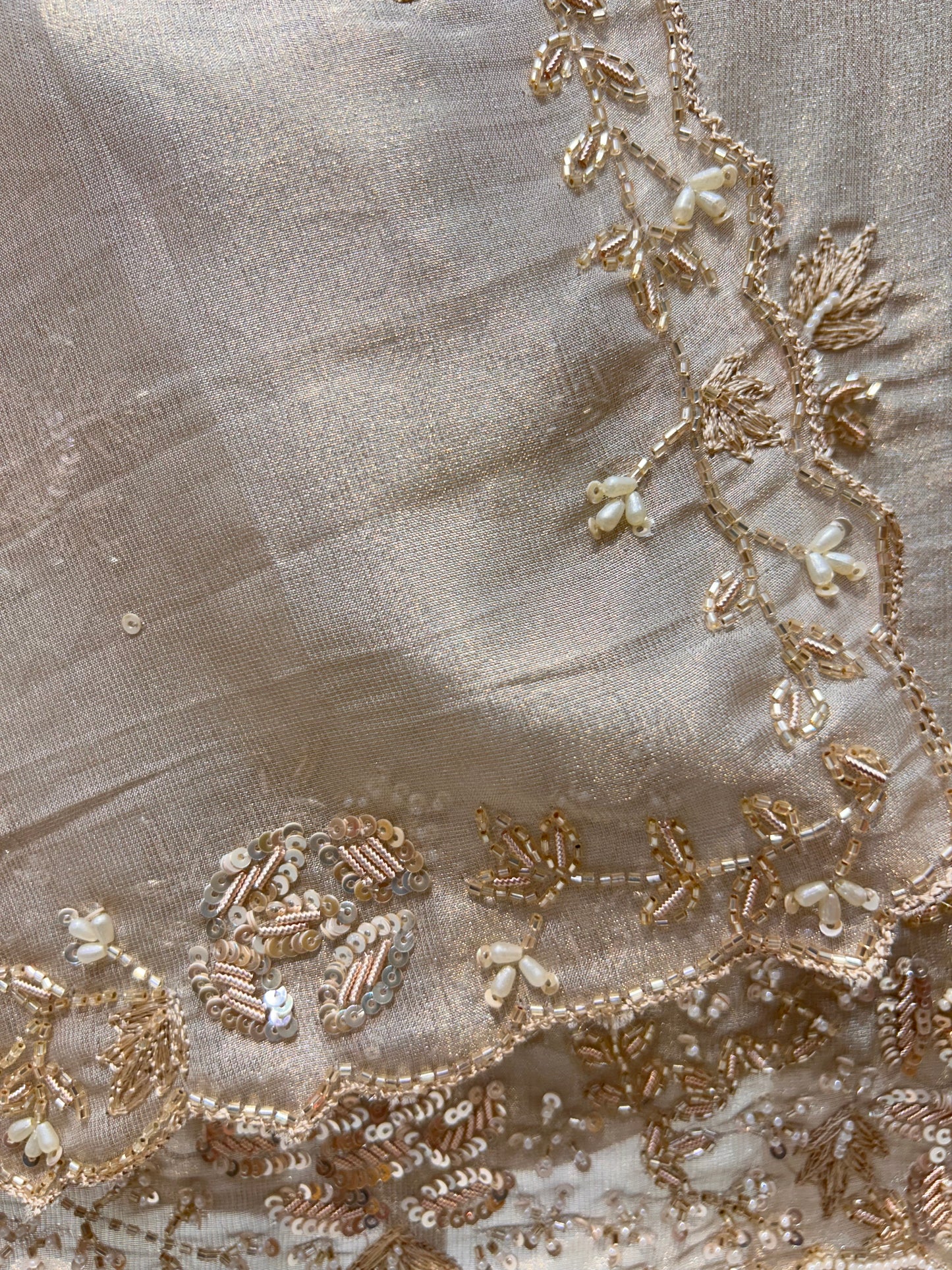 Ameya Organza Suit