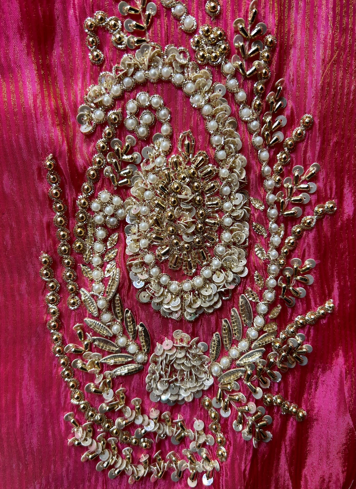 Chamakra Organza Suit (Pink)