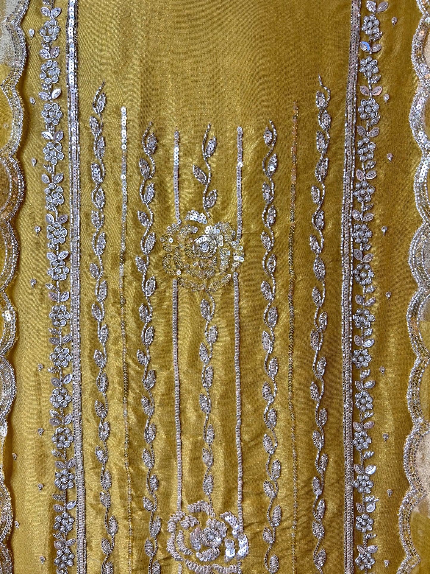 Eshita Shimmer Organza Suit