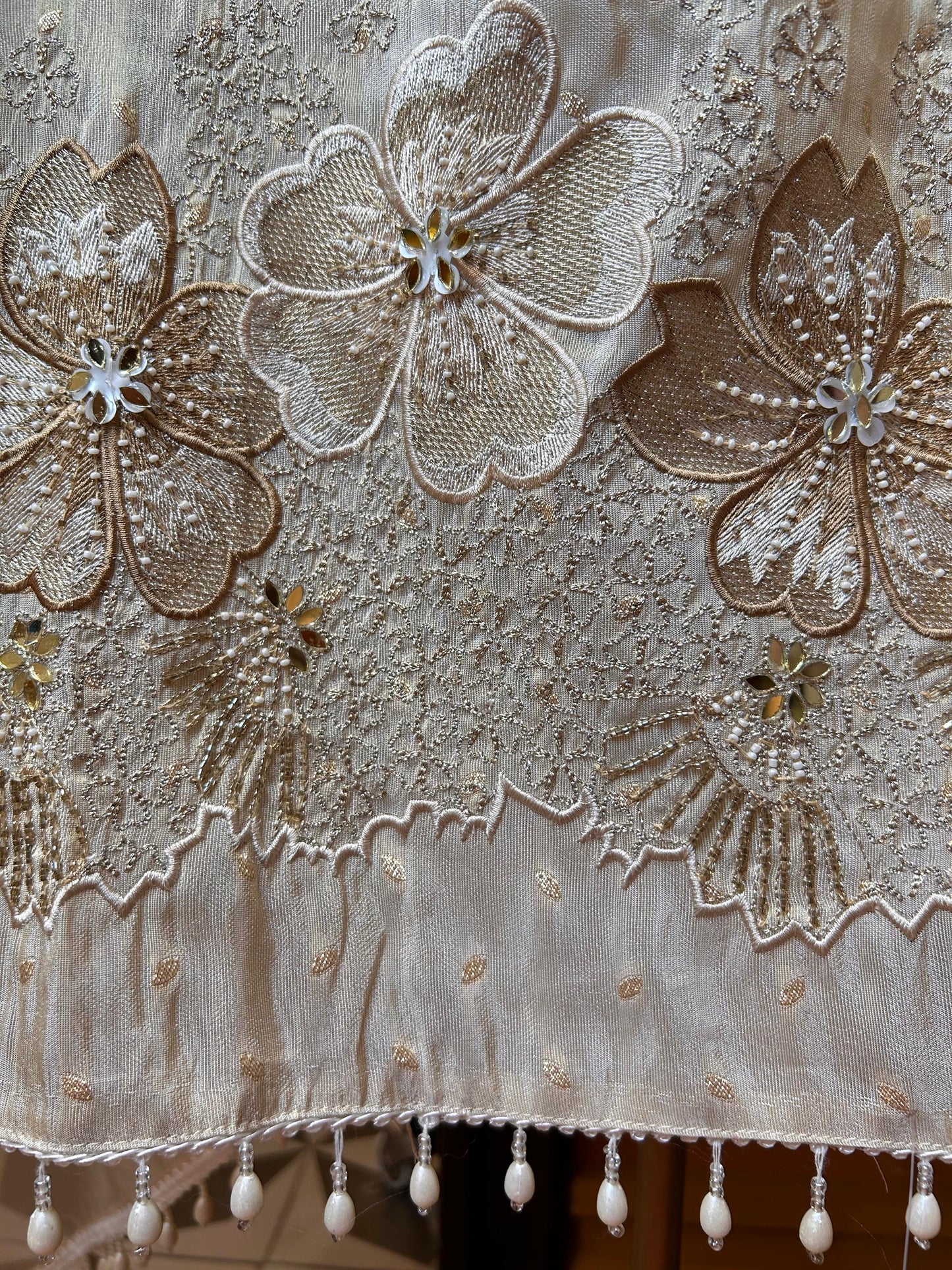 Prakriti Organza Suit ji