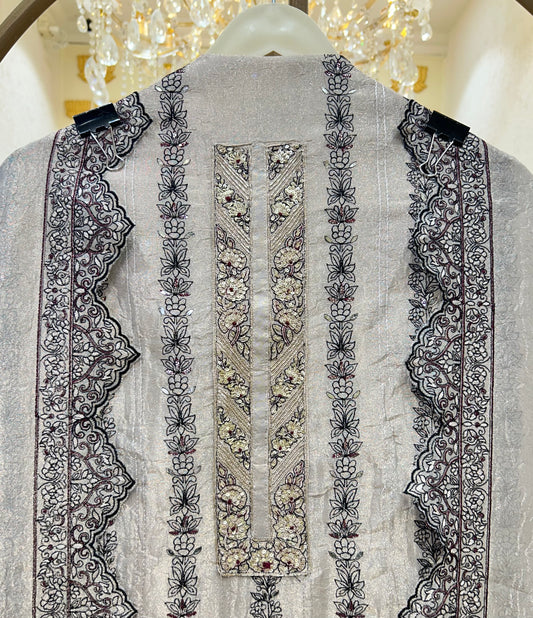Tavishi Organza Suit
