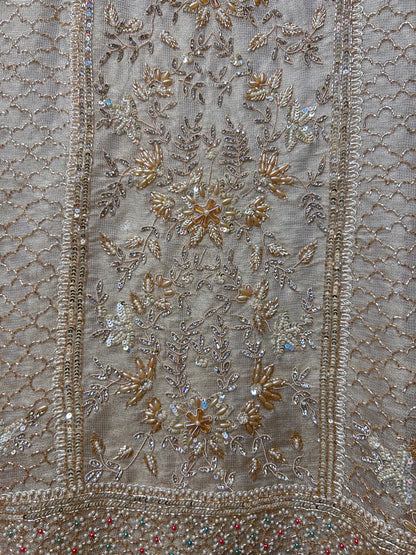 Gulbadan Organza Suit