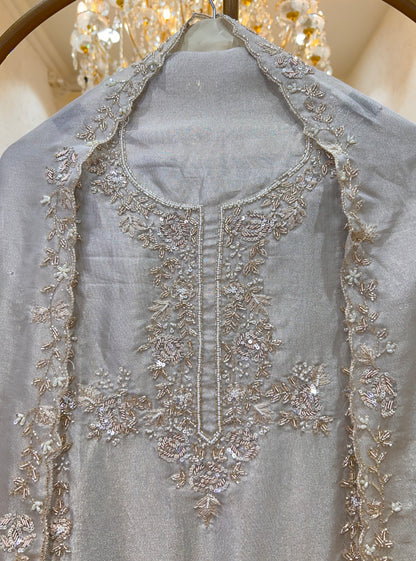 Ameya Organza Suit