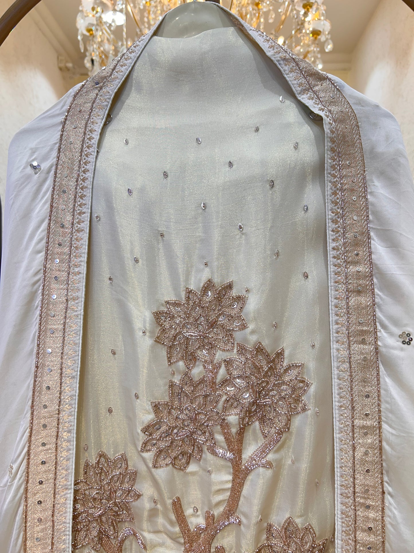 Suvrata Organza Suit