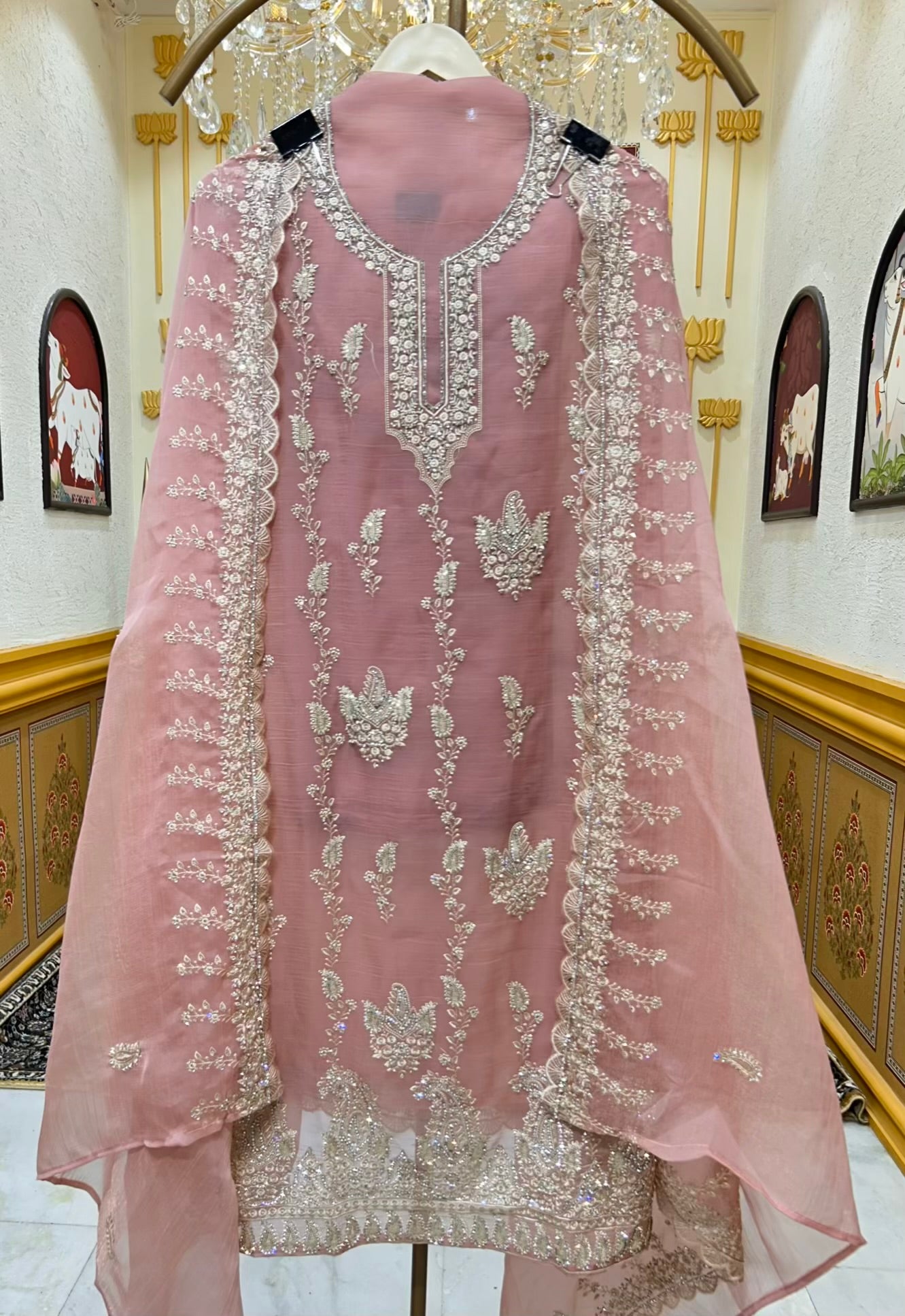 Aarifa Resham Veil Suit (Pink)