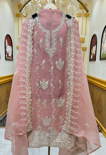 Aarifa Resham Veil Suit (Pink)