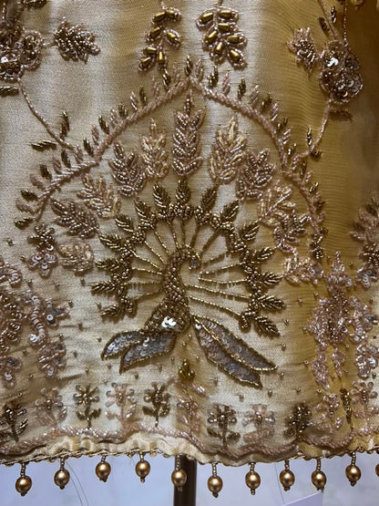 Ayleen Shimmer Noor Suit (Yellow)