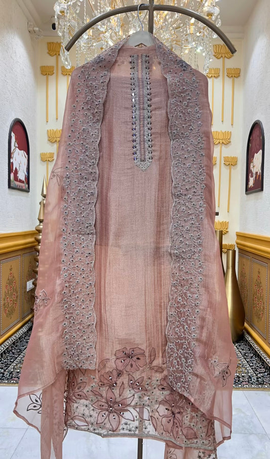 Raveena Aaina Dori Suit (Peach)
