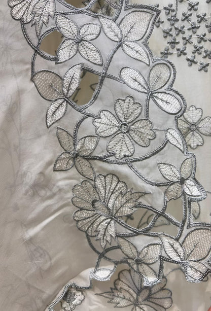 Zynera Threadspark Organza Suit