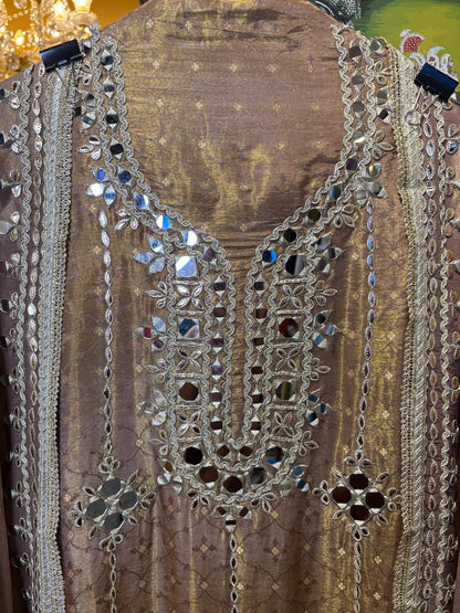 Chitrakala Organza Suit (Beige)