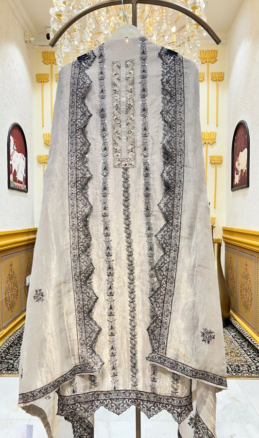 Tavishi Organza Suit