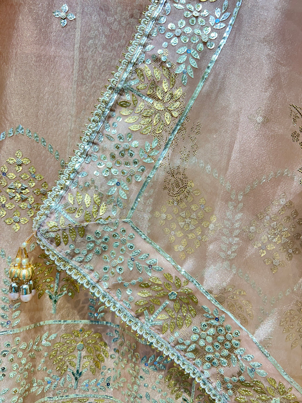 Zarmeiraa Tissue Organza Suit
