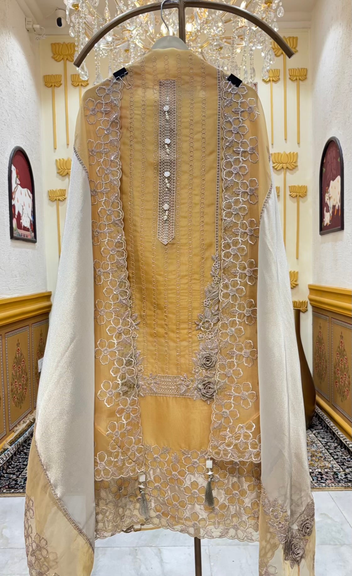 Ziana Zari Organza Suit