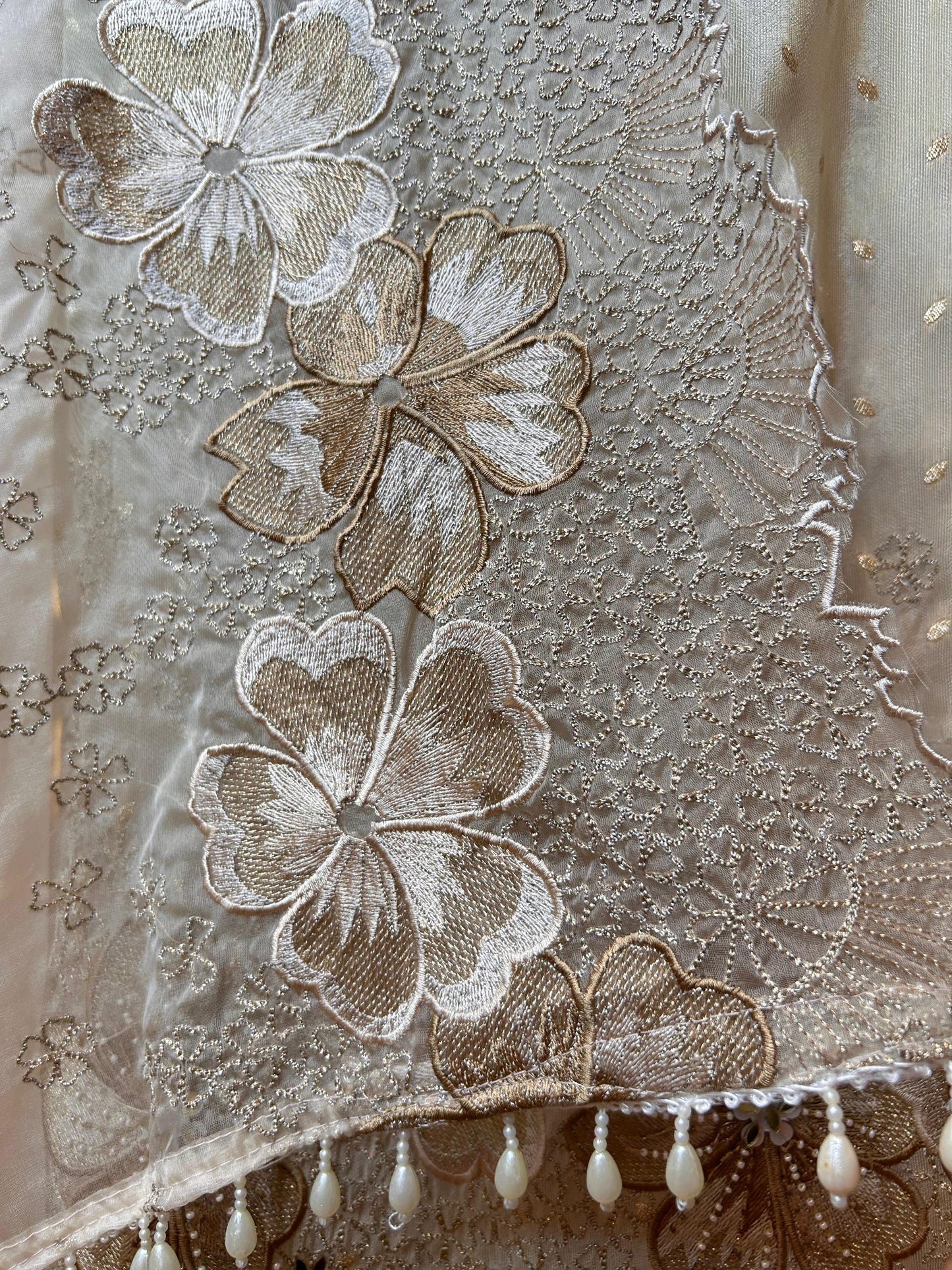 Prakriti Organza Suit ji