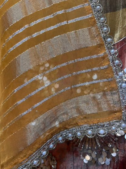 Zariza Organza Suit