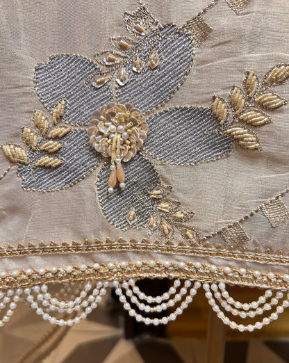Chaandni Organza Suit