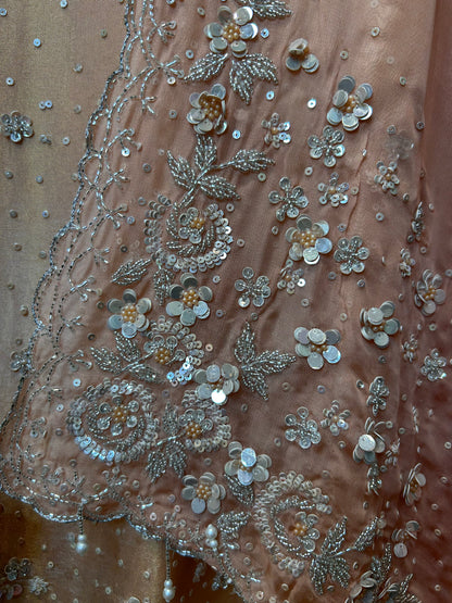 Ishvani Organza Suit (Peach)