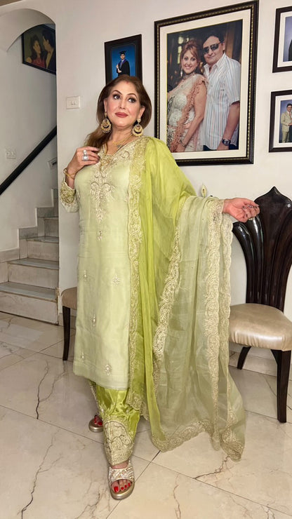 Zarqa Aari Organza Suit