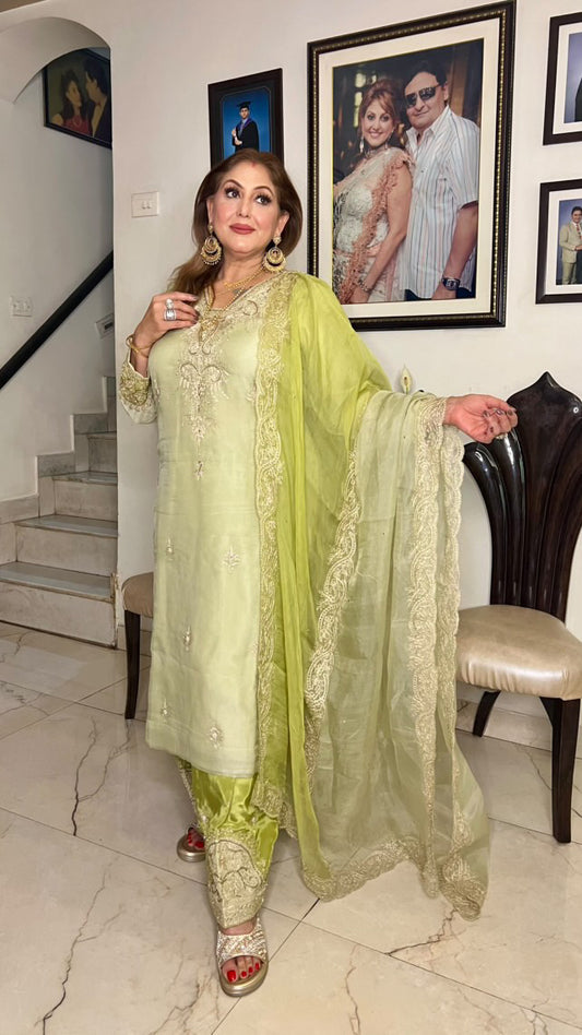 Zarqa Aari Organza Suit