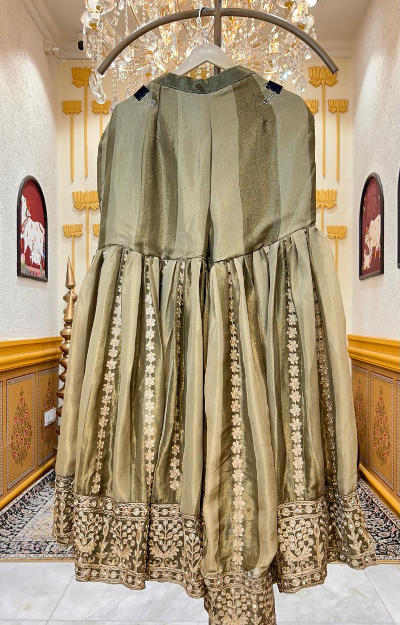 Ameya Organza Gharara Set