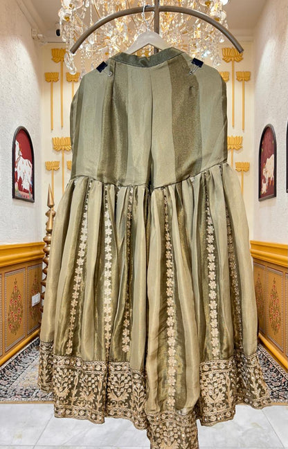 Ameya Organza Gharara Set