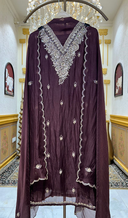 Aarunya Organza Suit