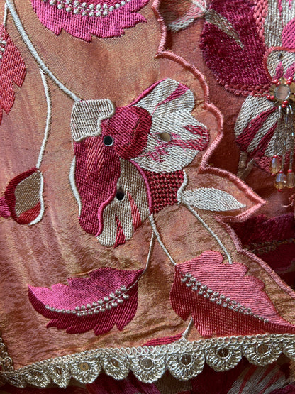 Aashni Organza Suit