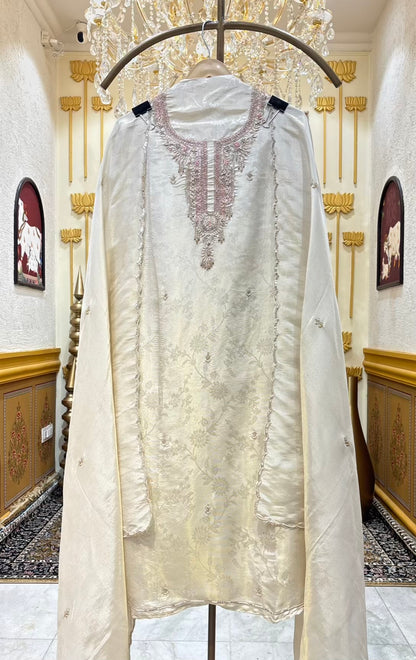 Evara Shimmer Organza Suit