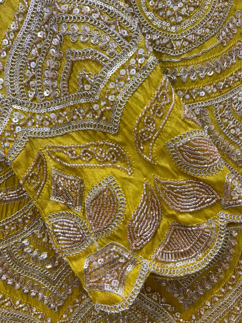 Aureza Organza Sharara Set