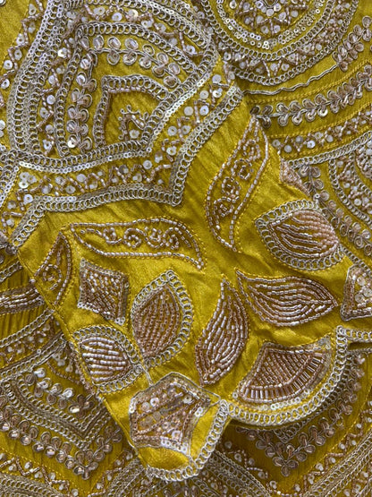 Aureza Organza Sharara Set