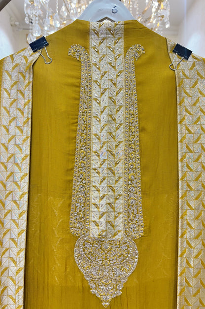 Eshani Organza Suit