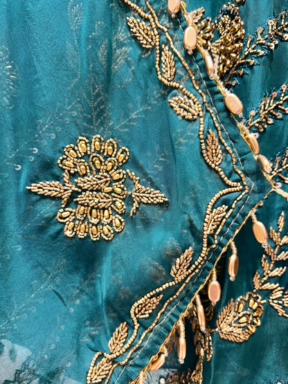 Arohaira Organza Suit