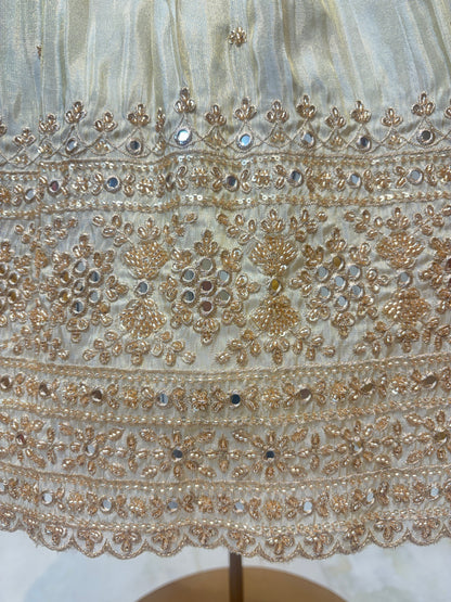 Tara Shimmer Lehenga Set