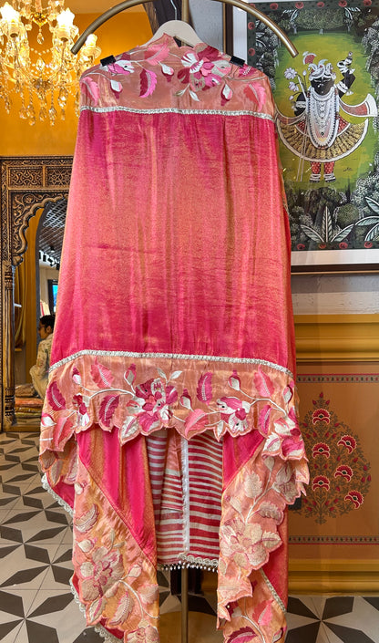 Aashni Organza Suit