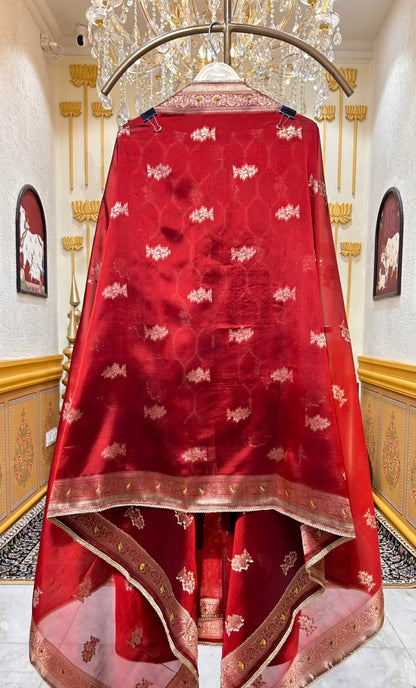 Aarisha Banarasi Élan Suit (Rust)