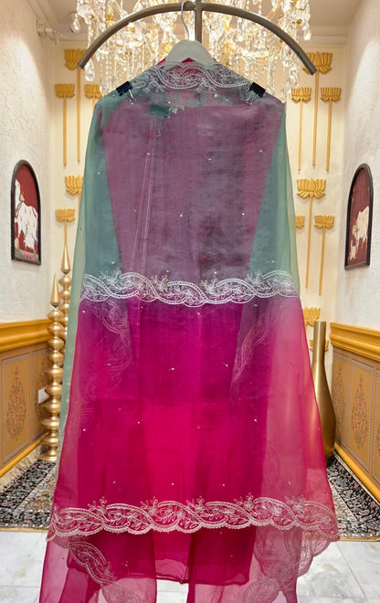 Ruhmira Haathkaar Suit (Pink)