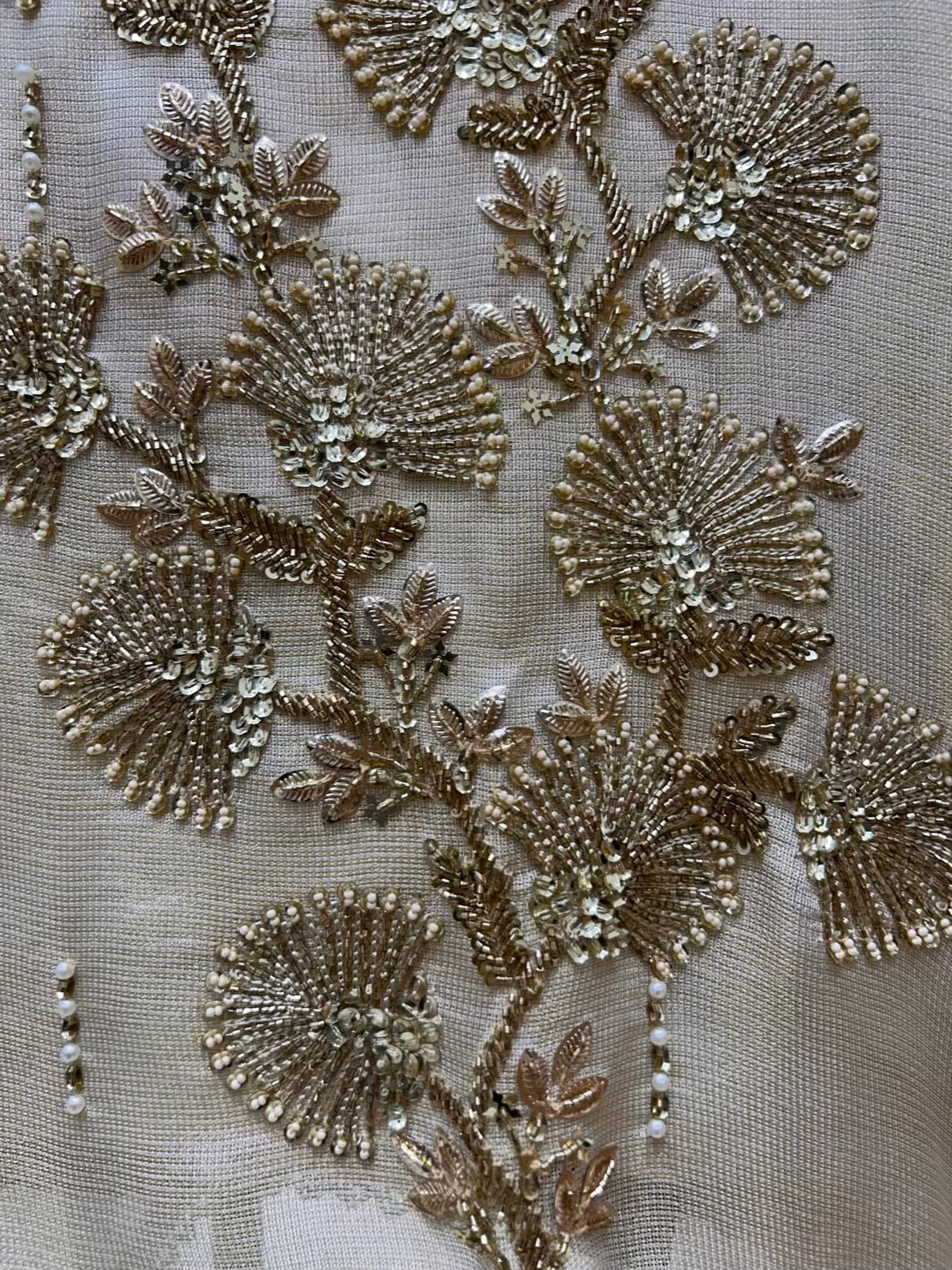 Aarini Organza Grace Suit