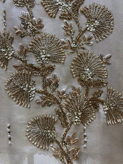 Aarini Organza Grace Suit