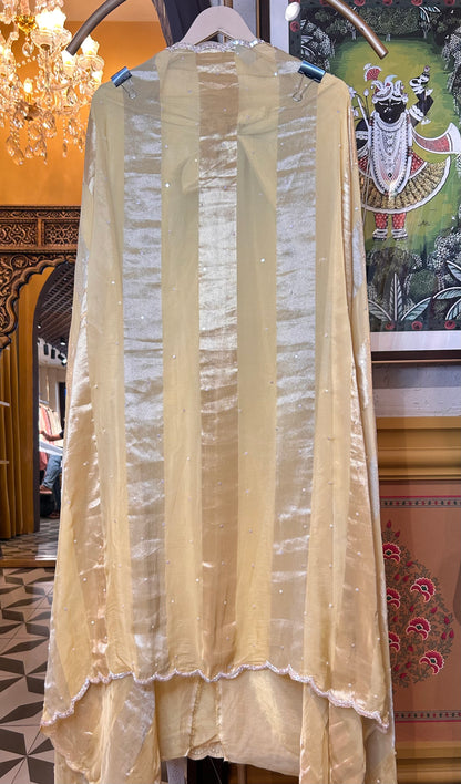 Amaira Shimmer Organza Suit